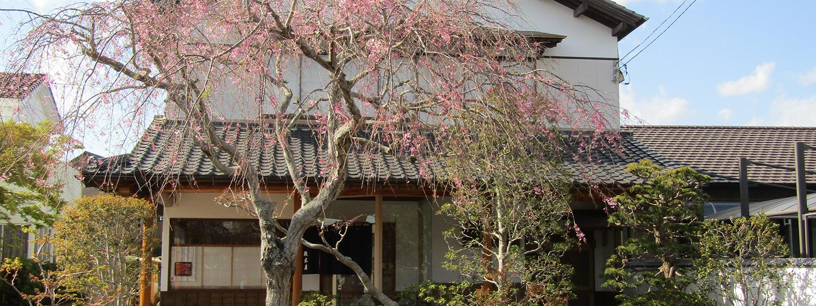 政木屋の外観 入り口